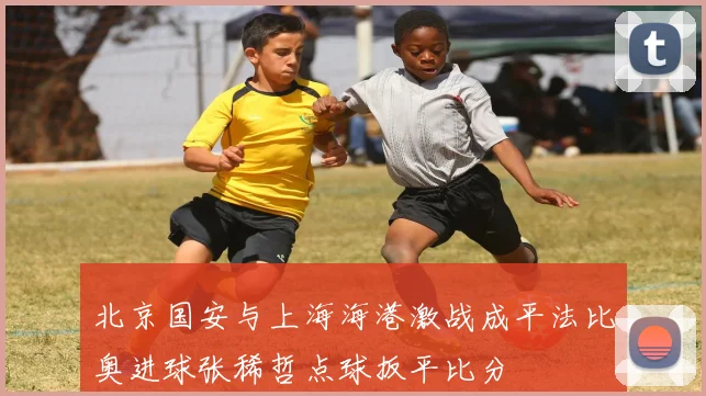 北京国安与上海海港激战成平法比奥进球张稀哲点球扳平比分